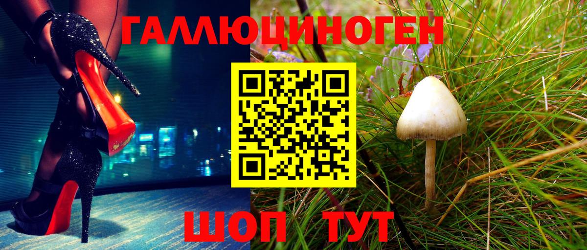 Псилоцибиновые грибы Cubensis Бузулук