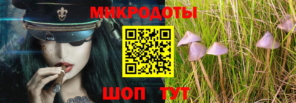 купить  цена  Галлюциногенные грибы Psilocybe  Вход с VPN  Бузулук 